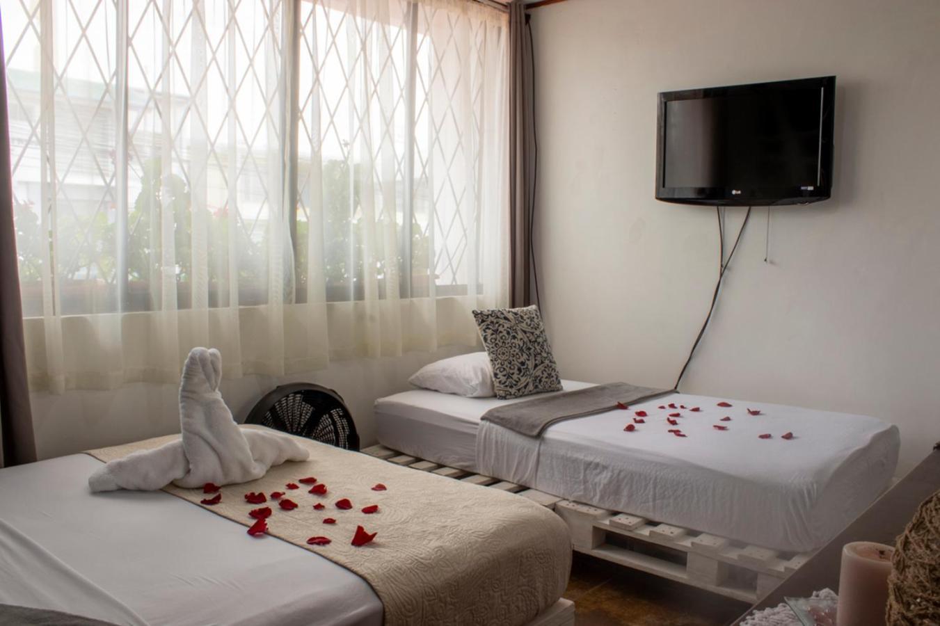 Eco Stay Hostel Сан-Хосе Екстер'єр фото