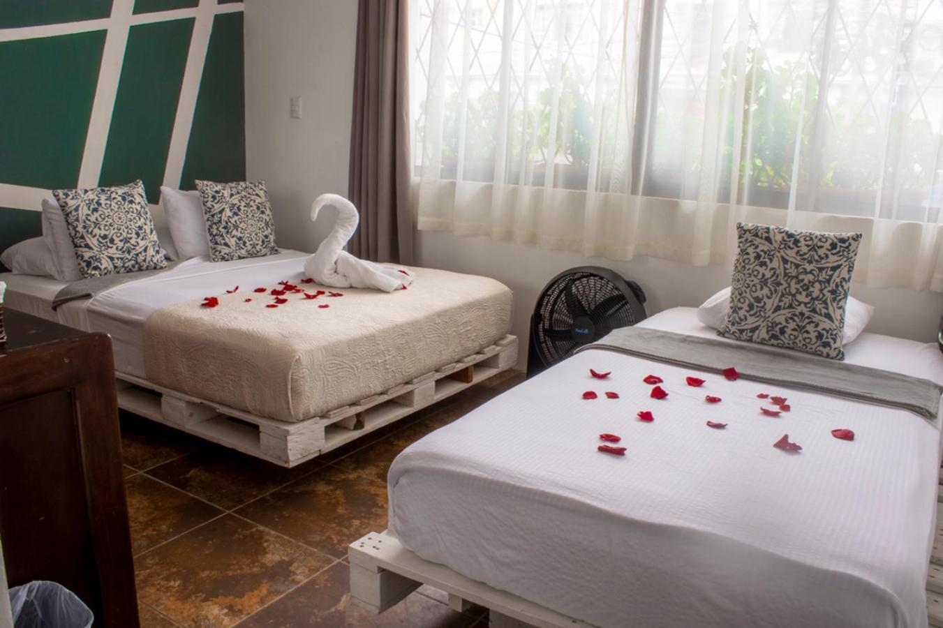Eco Stay Hostel Сан-Хосе Екстер'єр фото